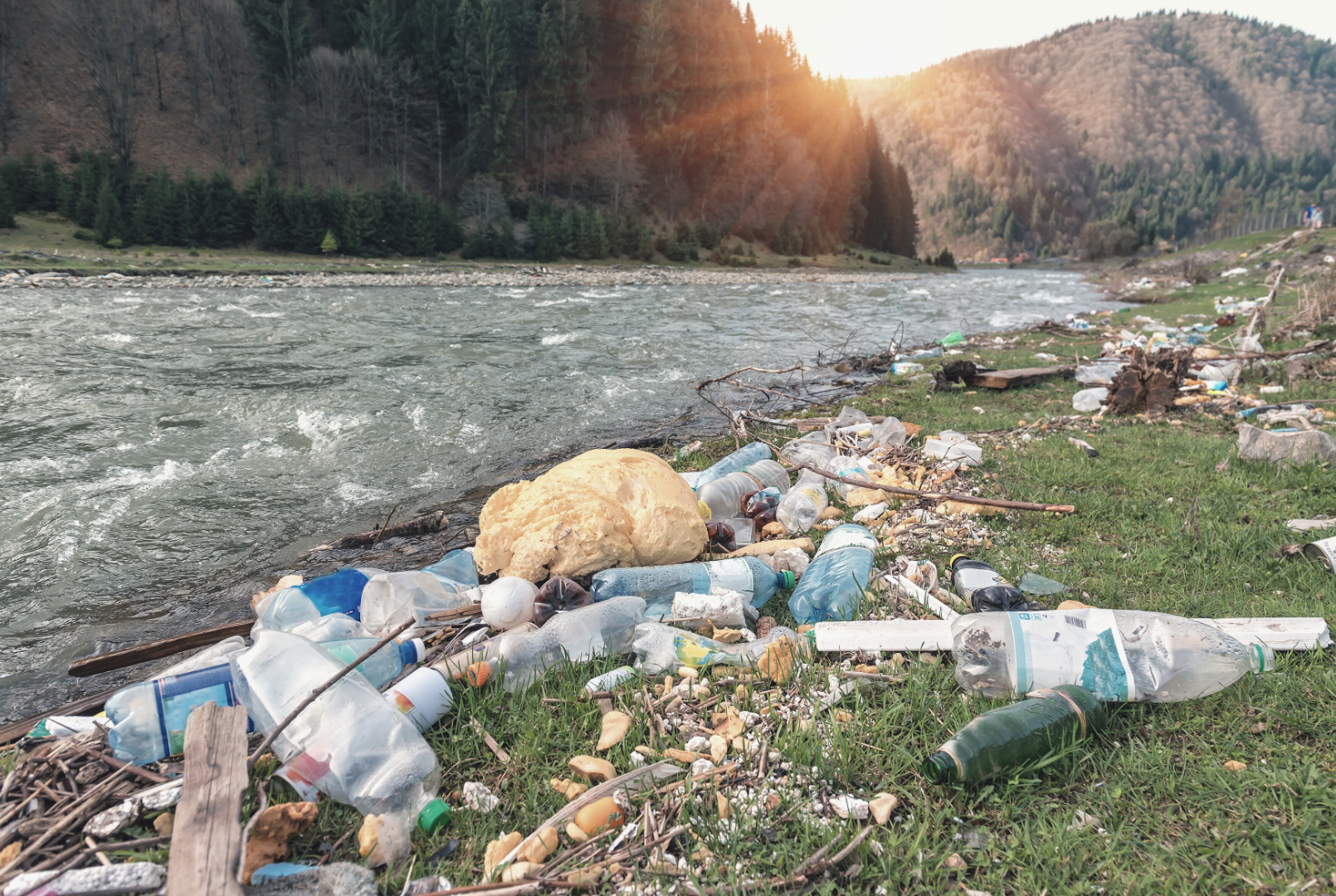 Juillet, le mois sans plastique!