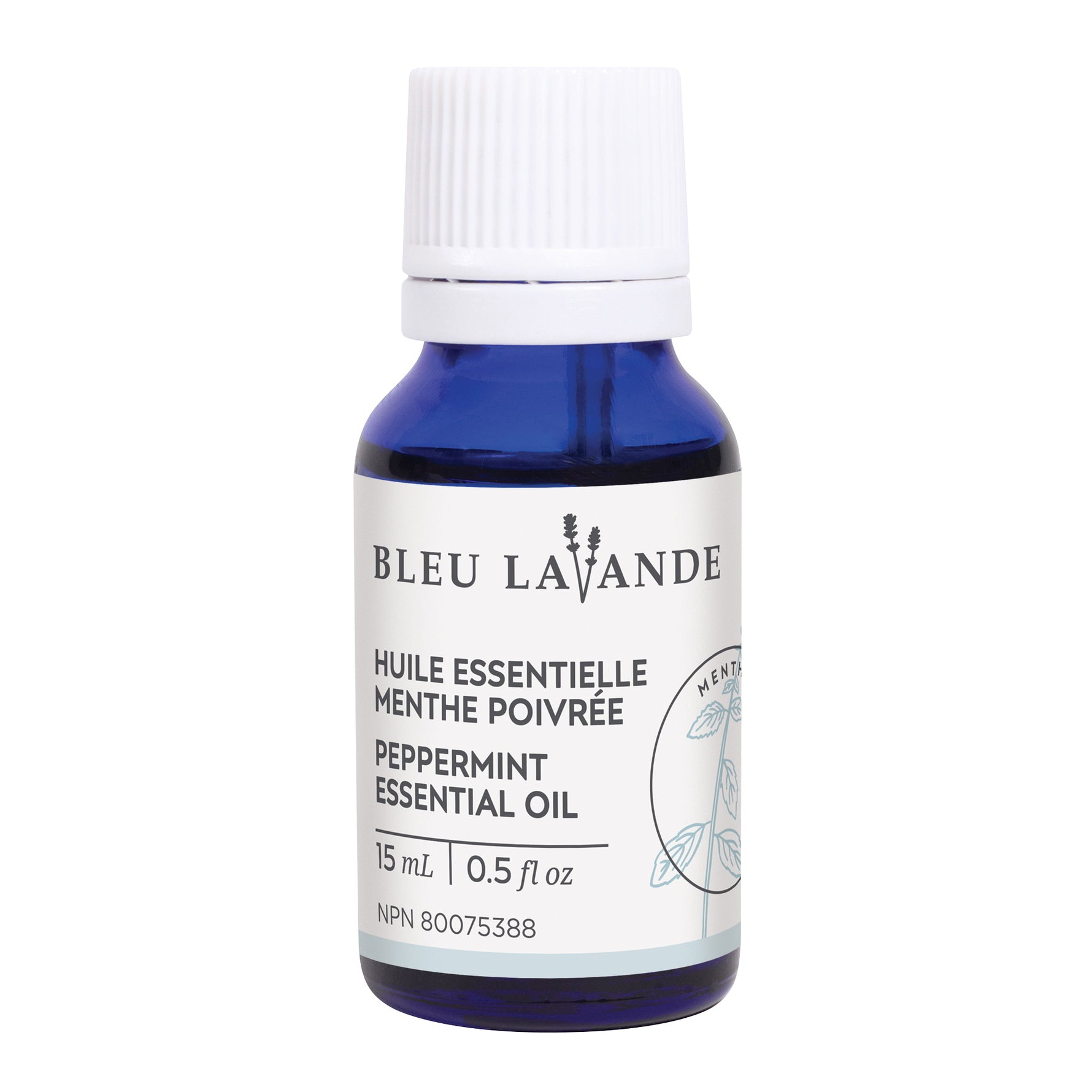BLEU LAVANDE - Huile essentielle Menthe poivrée naturelle - Huile | Samara & Co