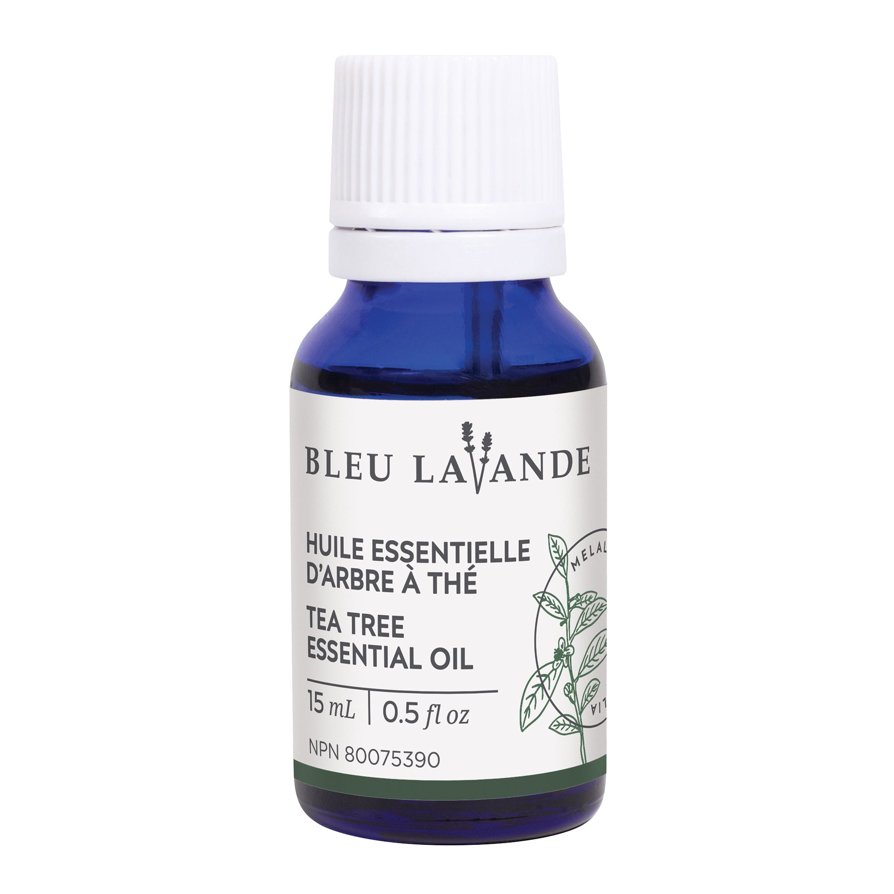 BLEU LAVANDE - Huile essentielle Arbre à thé naturelle - Huile | Samara & Co