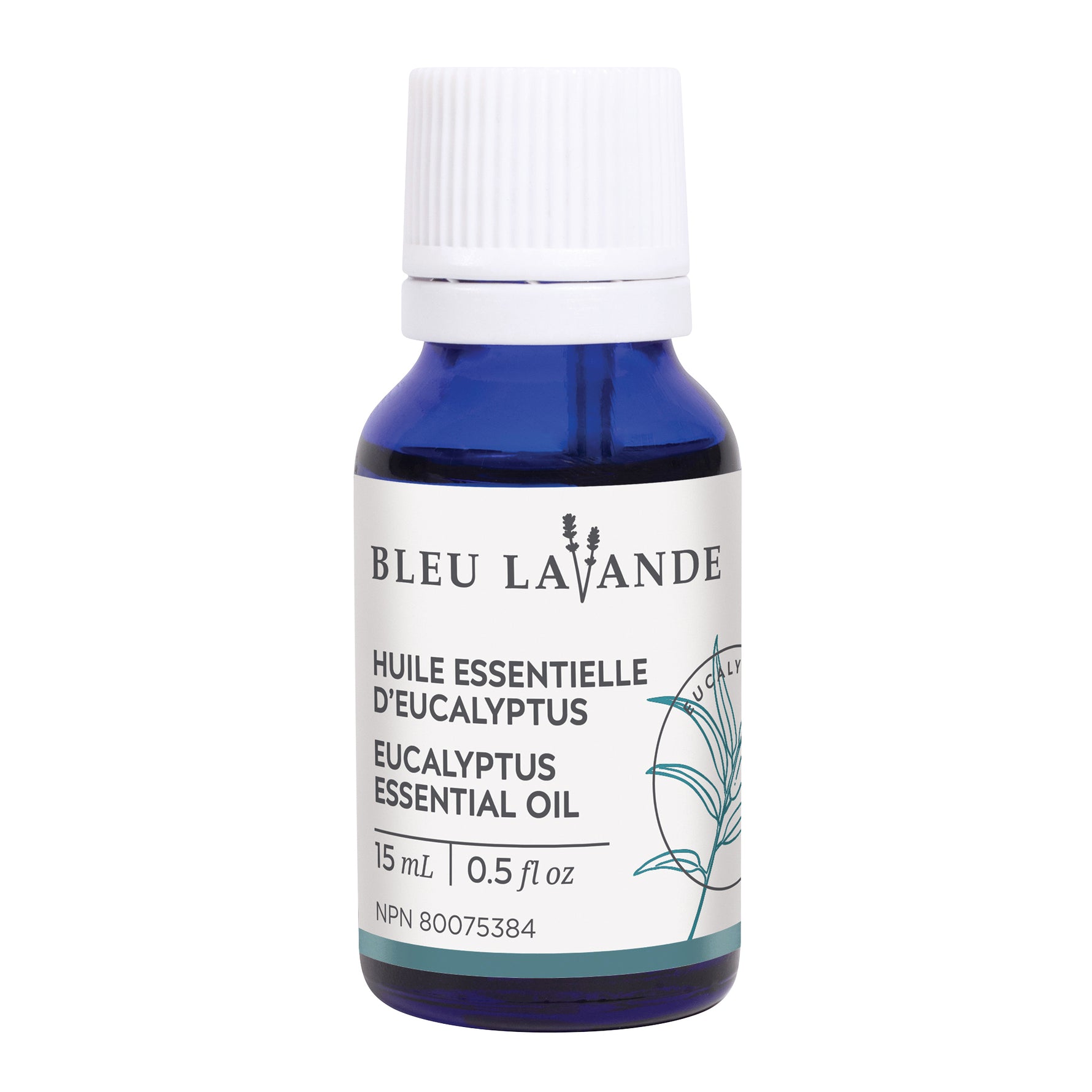 BLEU LAVANDE - Huile essentielle d'eucalyptus naturelle - Huile | Samara & Co