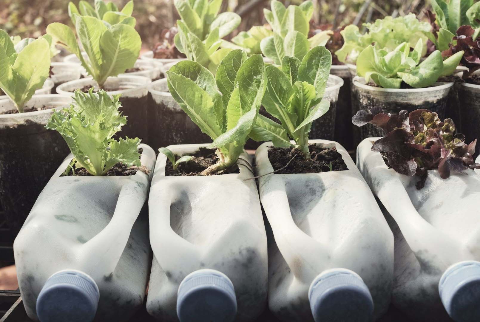 Les 5R - Pratiques pour un mode de vie durable