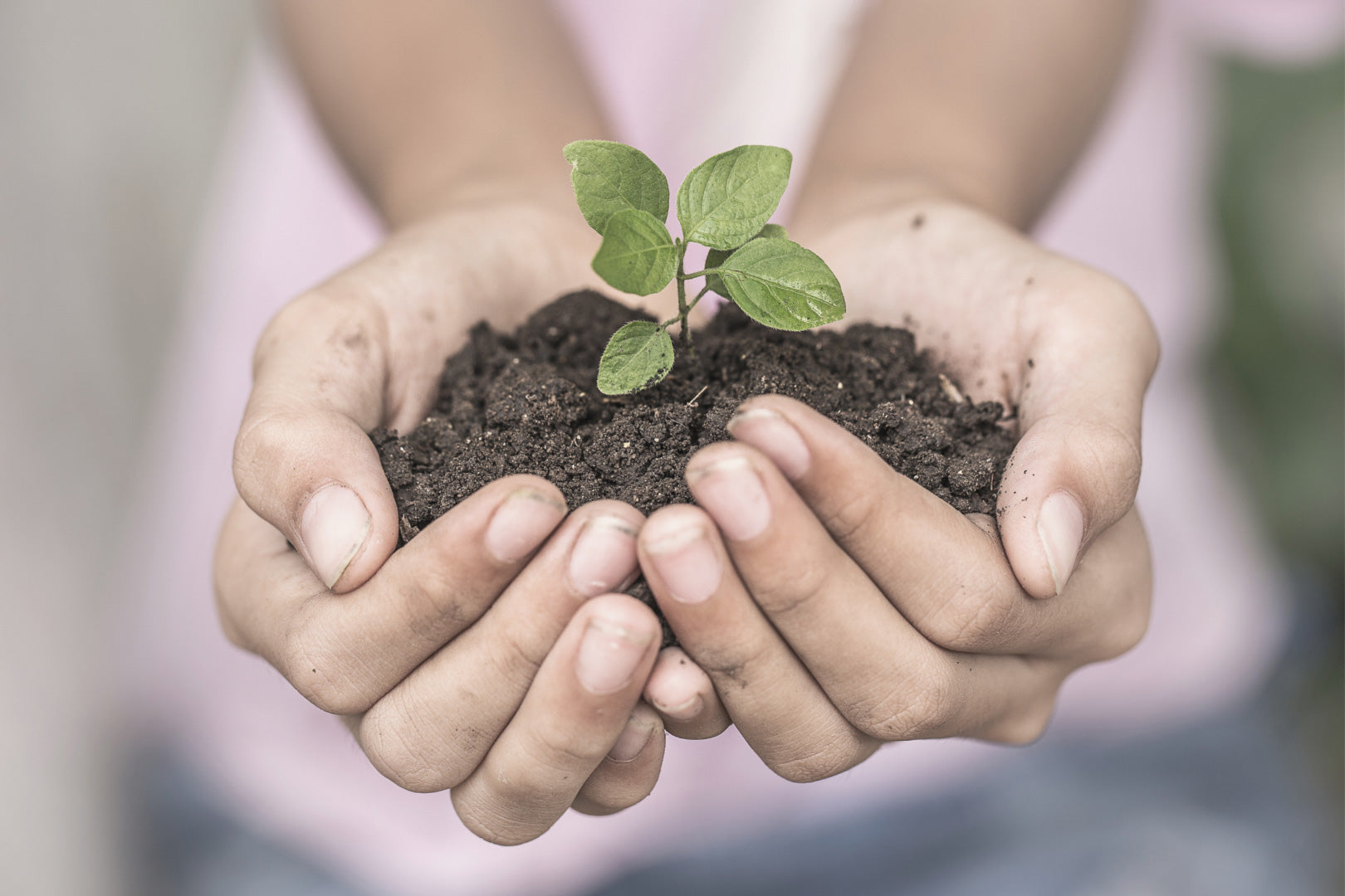 Mode de vie durable : actions pour bâtir un monde meilleur