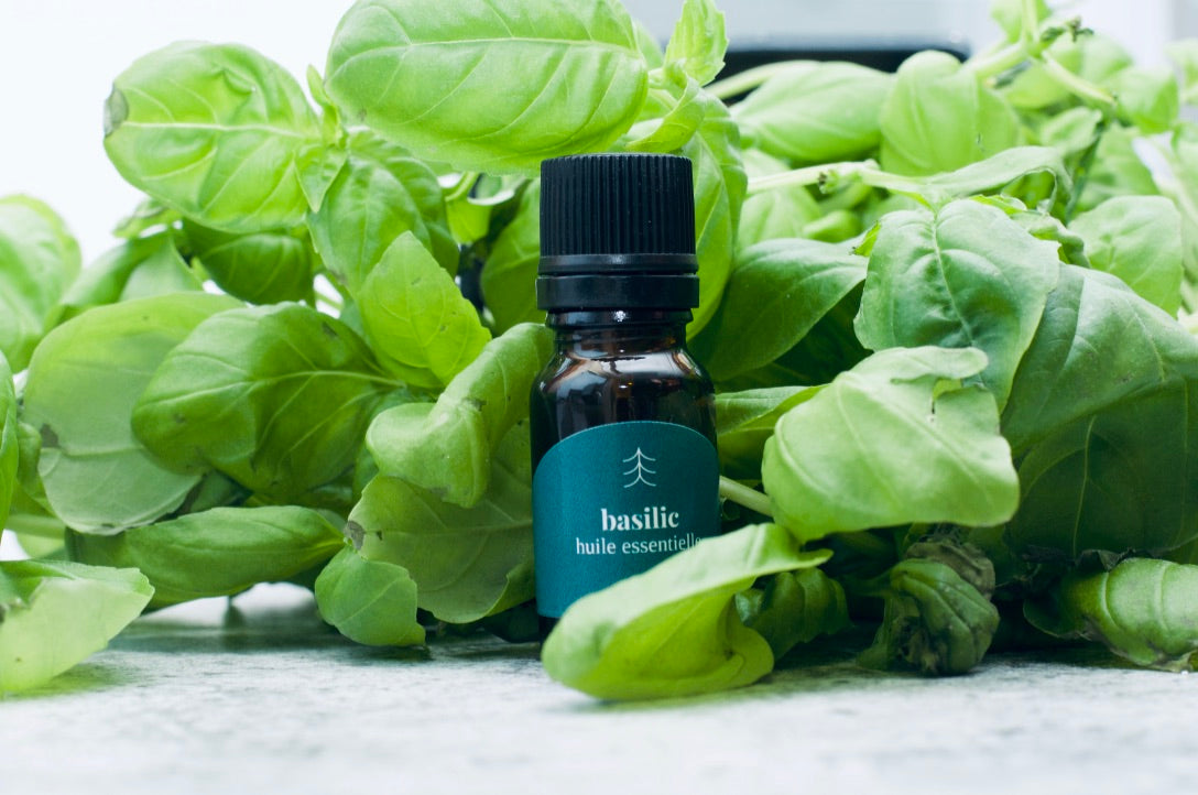 Abieze Laboratoire