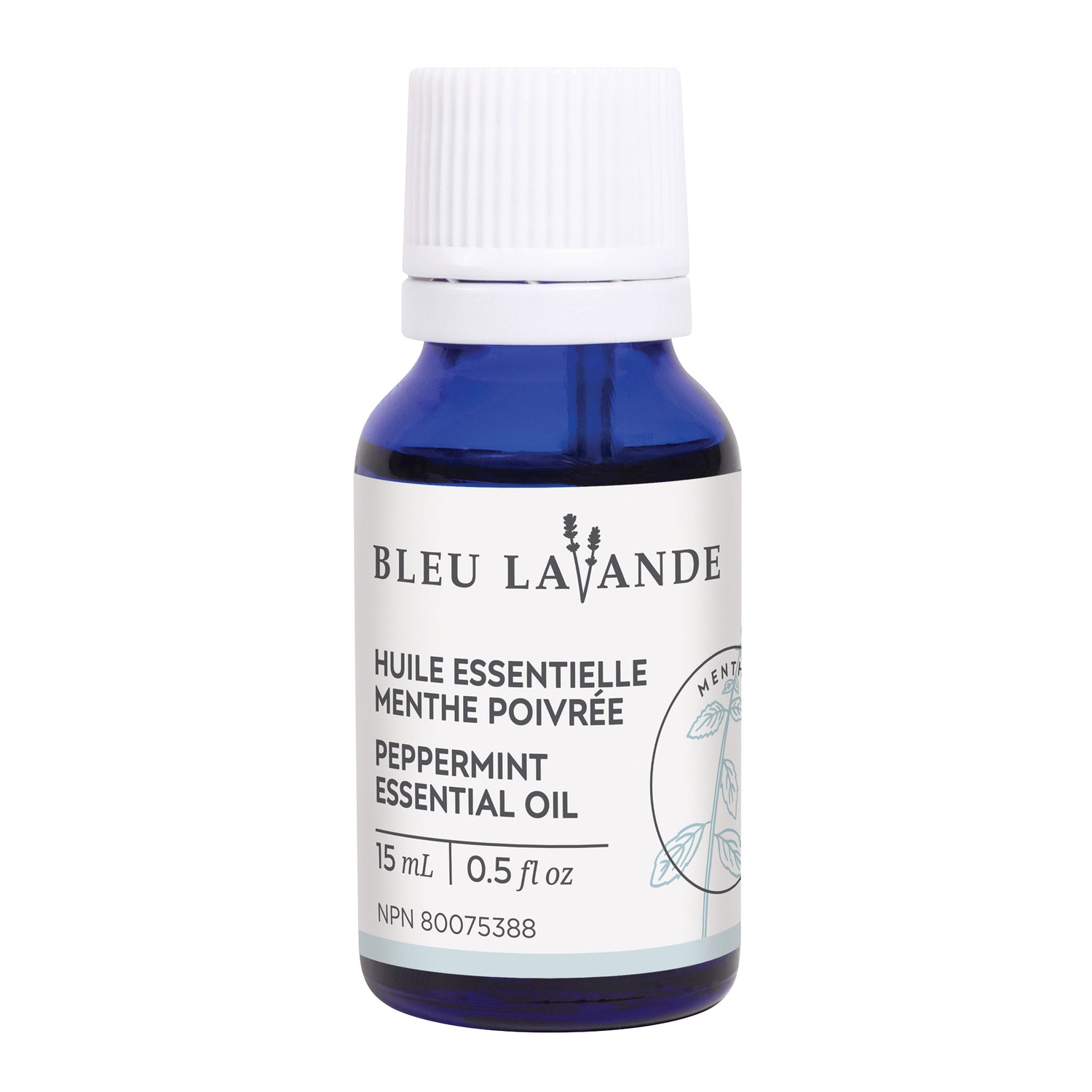 BLEU LAVANDE - Huile essentielle Menthe poivrée naturelle - Huile | Samara & Co