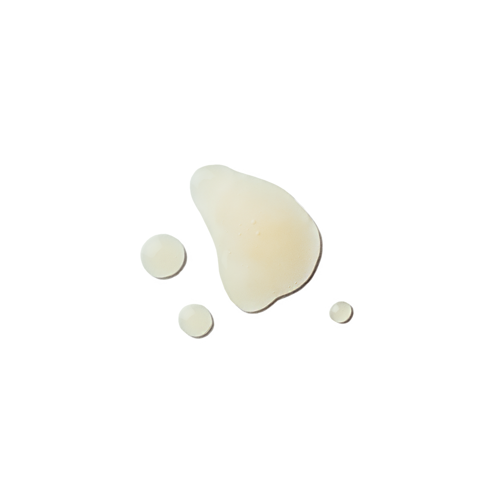 BORÉALIE - Sérum antioxydant d'origine naturelle - Algues du St-Laurent - Sérum antioxydant | Samara & Co