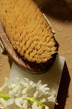 HERB MARKET BOTANICALS - Brosse à sec pour le corps - Bois de hêtre durable - Soins corps | Samara & Co