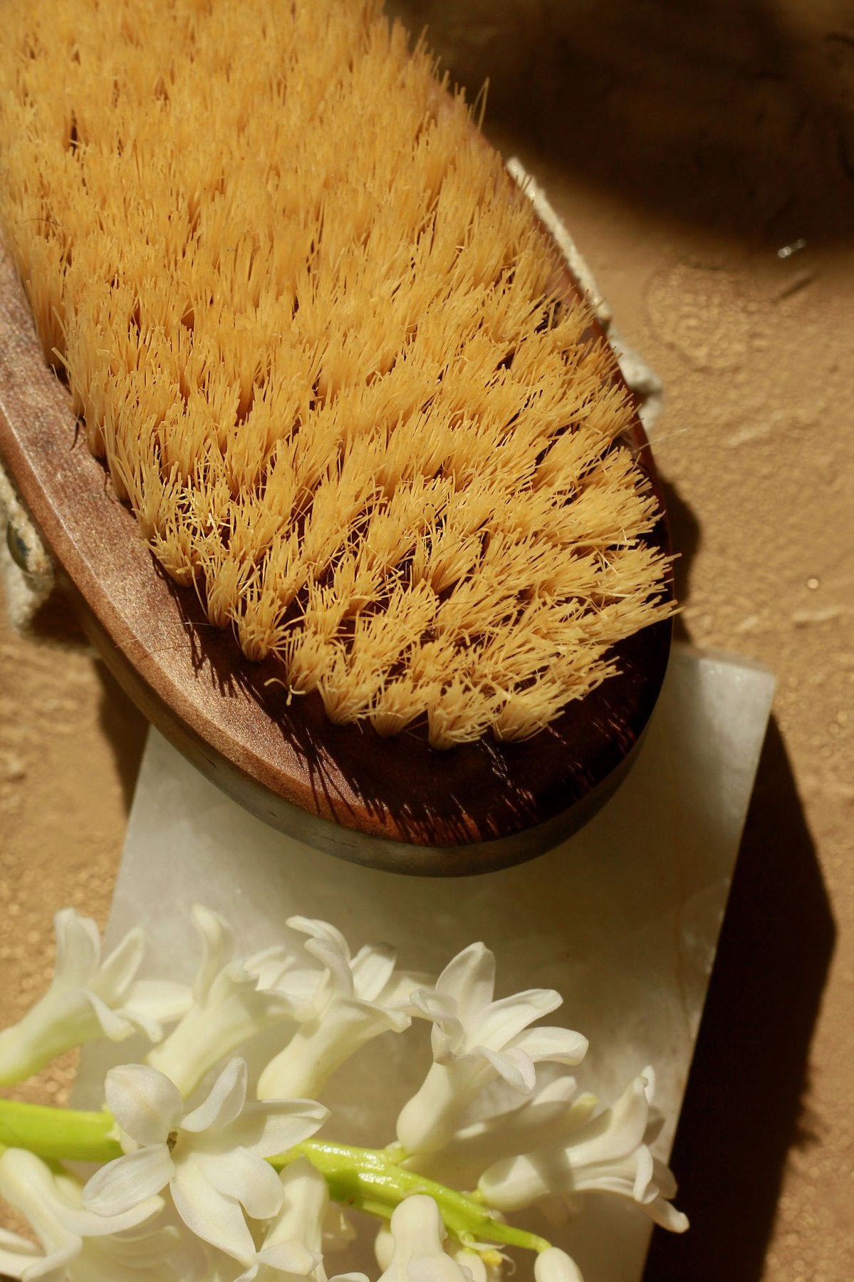 HERB MARKET BOTANICALS - Brosse à sec pour le corps - Bois de hêtre durable - Soins corps | Samara & Co