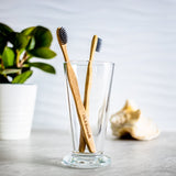 OLA BAMBOO - Charcoal Toothbrush - Made in Canada