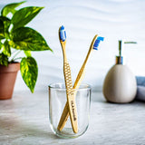 OLA BAMBOO - "OLA Tech" Toothbrush - 100% Biodegradable Bamboo Handle