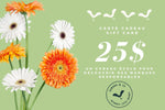 SAMARA & CO - Carte Cadeaux super écolo! - Carte Cadeaux | Samara & Co