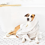 UNSCENTED CO - Shampooing en barre pour chien 100% naturel - Soin animaux | Samara & Co