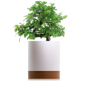 HOMADE - Pot à fleurs Tolaca fabriquée de matière végétale écologique - Accessoires Maison | Samara & Co