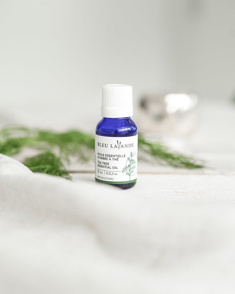 BLEU LAVANDE - Huile essentielle Arbre à thé naturelle - Huile | Samara & Co