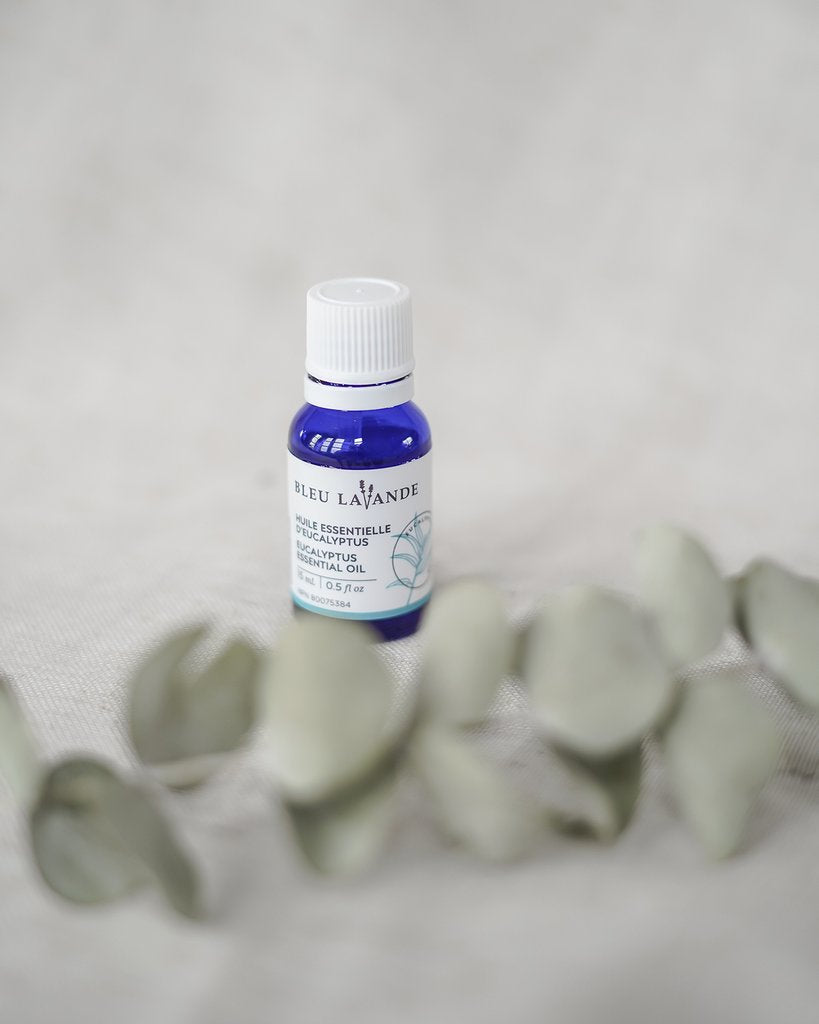 BLEU LAVANDE - Huile essentielle d'eucalyptus naturelle - Huile | Samara & Co