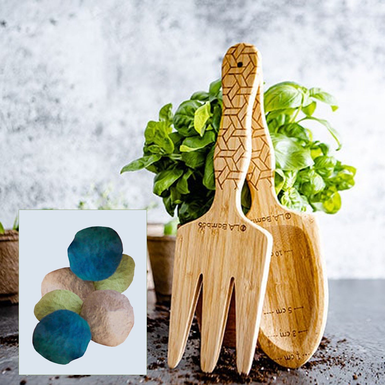 TUOI  🌱 SAMARA & CO - Coffret  • Mon jardin